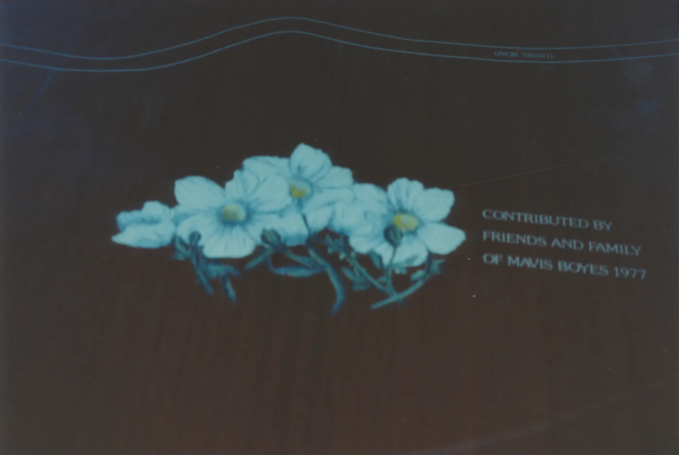 Mavis Boyes Map Table, 1977