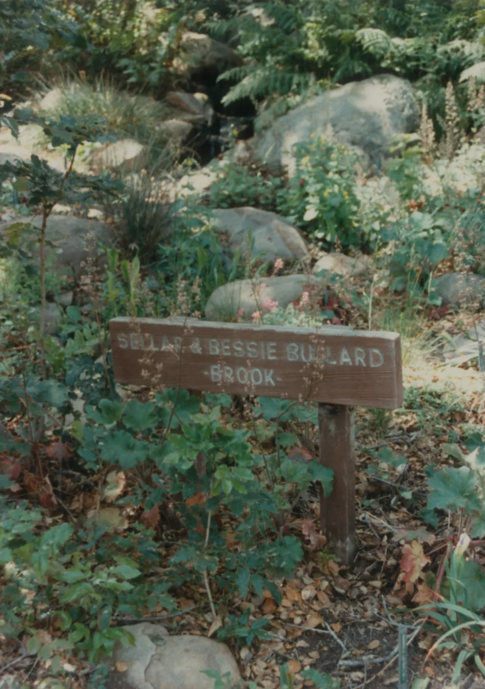 Sellar and Bessie Bullard Brook, sign