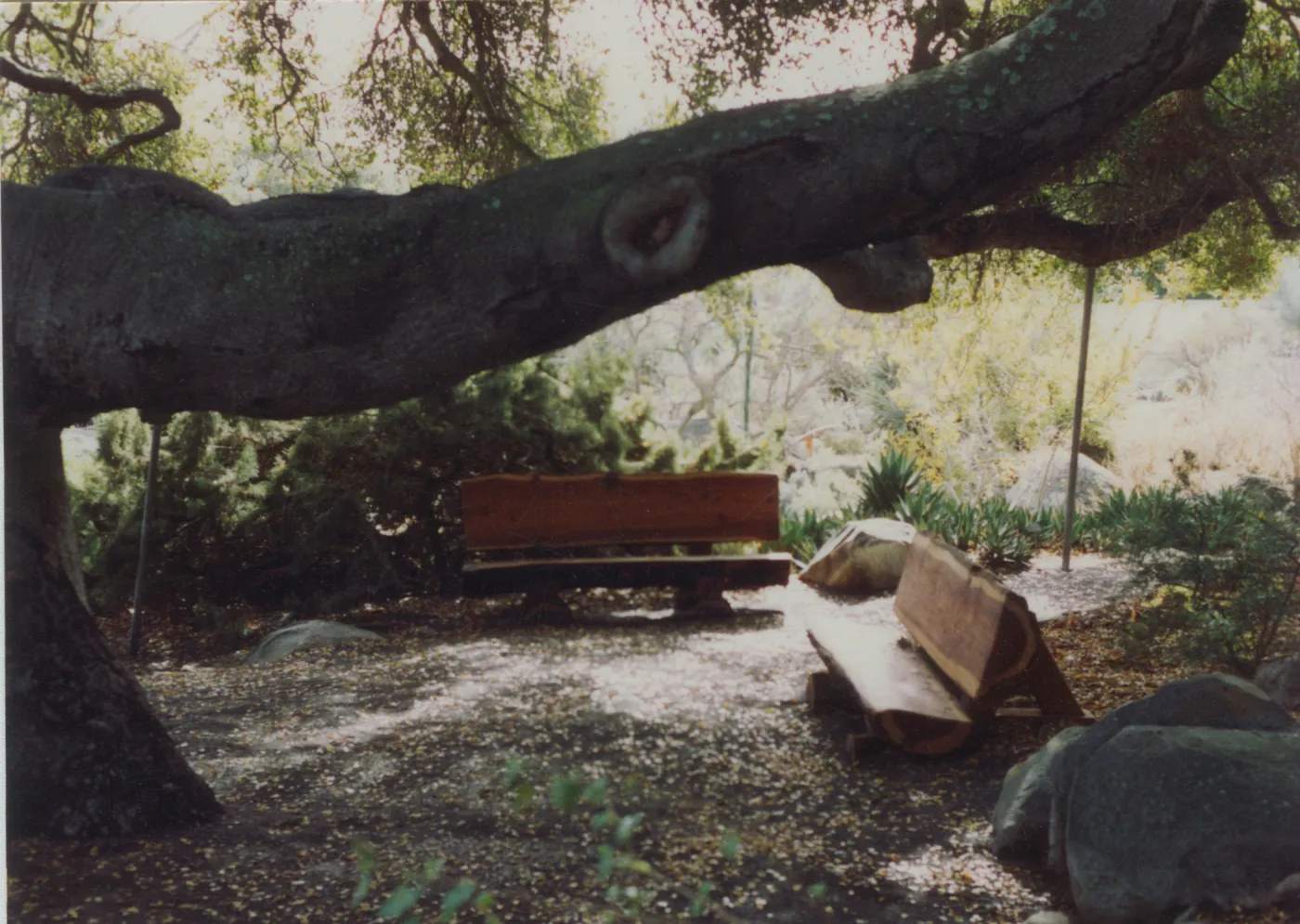 Williams Bench (left) and Davis Bench (right)