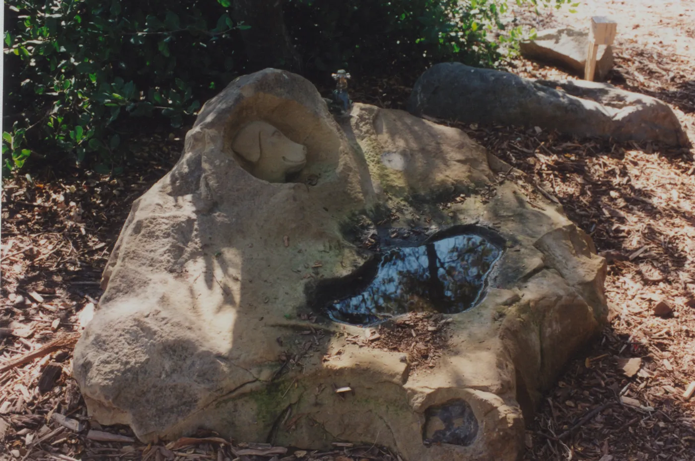 dog fountain, dog water basin, Meadow Oaks