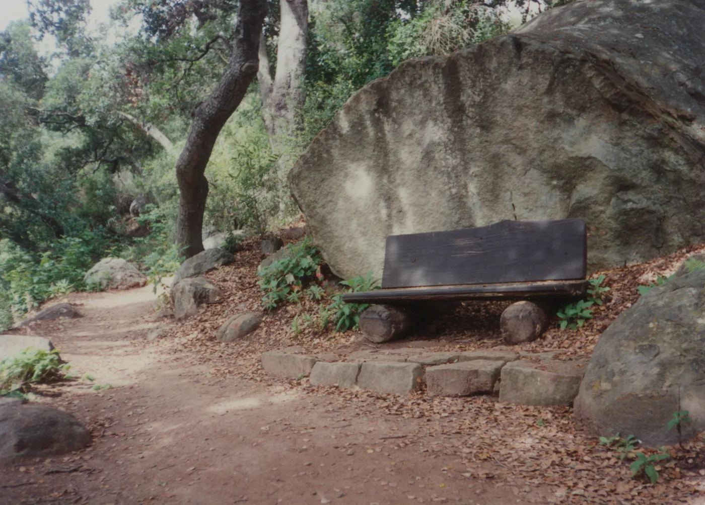 Irving and Mildred Haim Bench, 1979 (replaced in 1994, shared with Perkins)