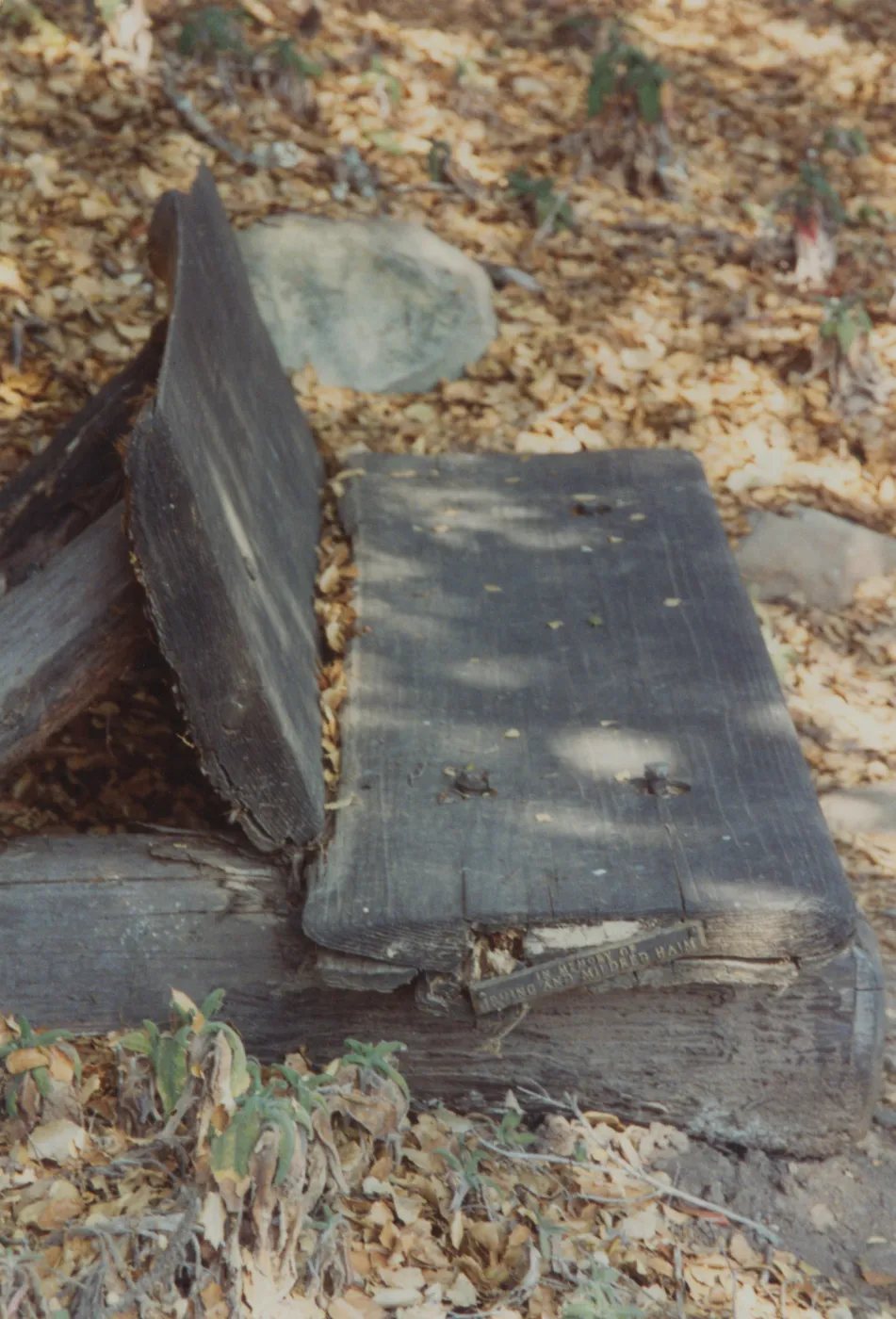 Irving and Mildred Haim Bench, 1979 (replaced in 1994, shared with Perkins)