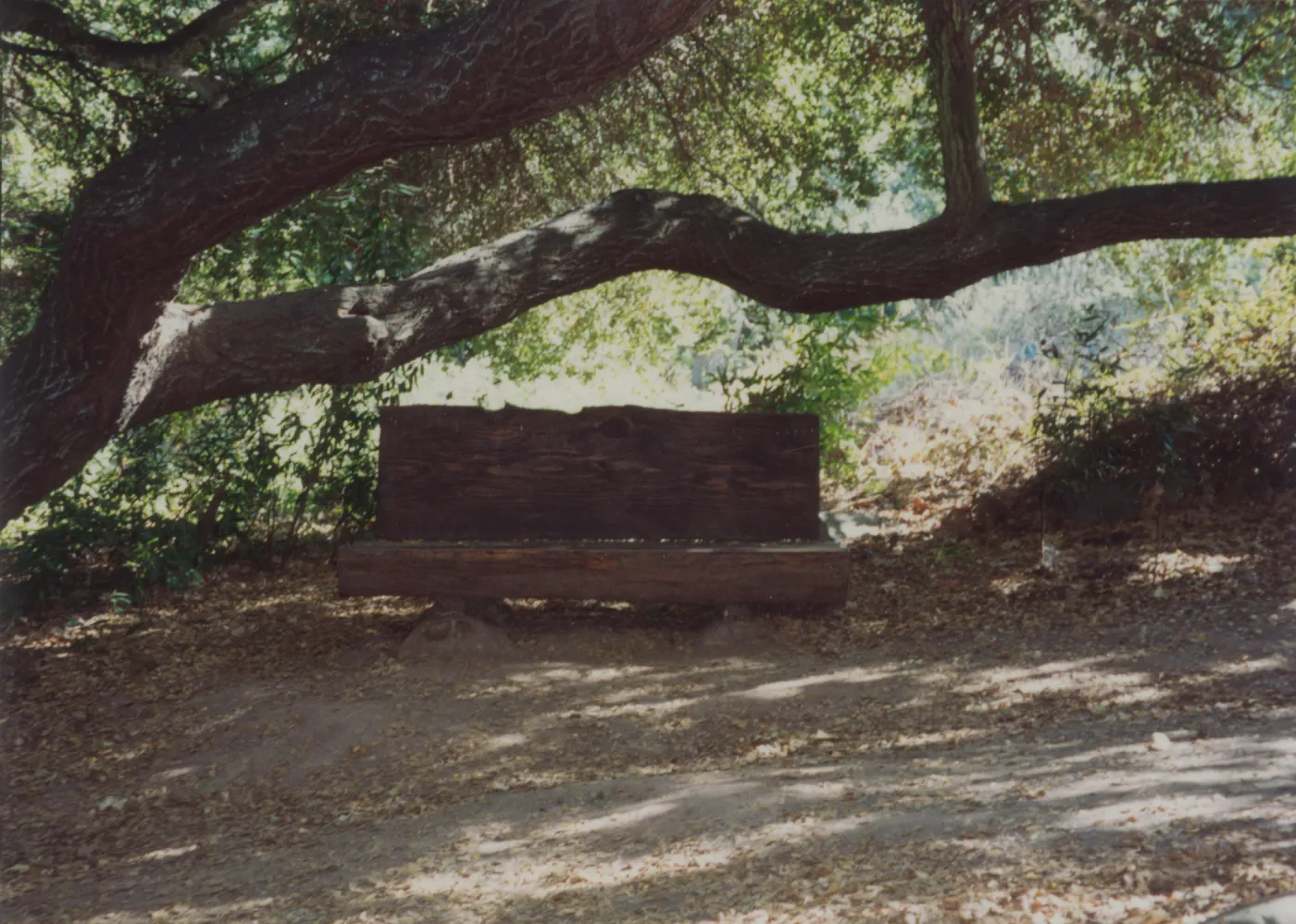 Ellen Hansen Bench, 1982