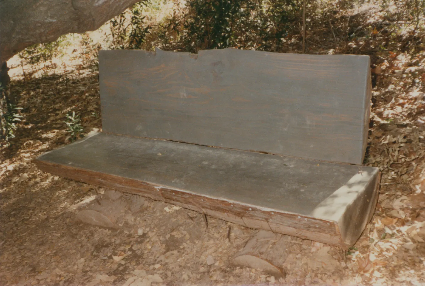Ellen Hansen Bench, 1982