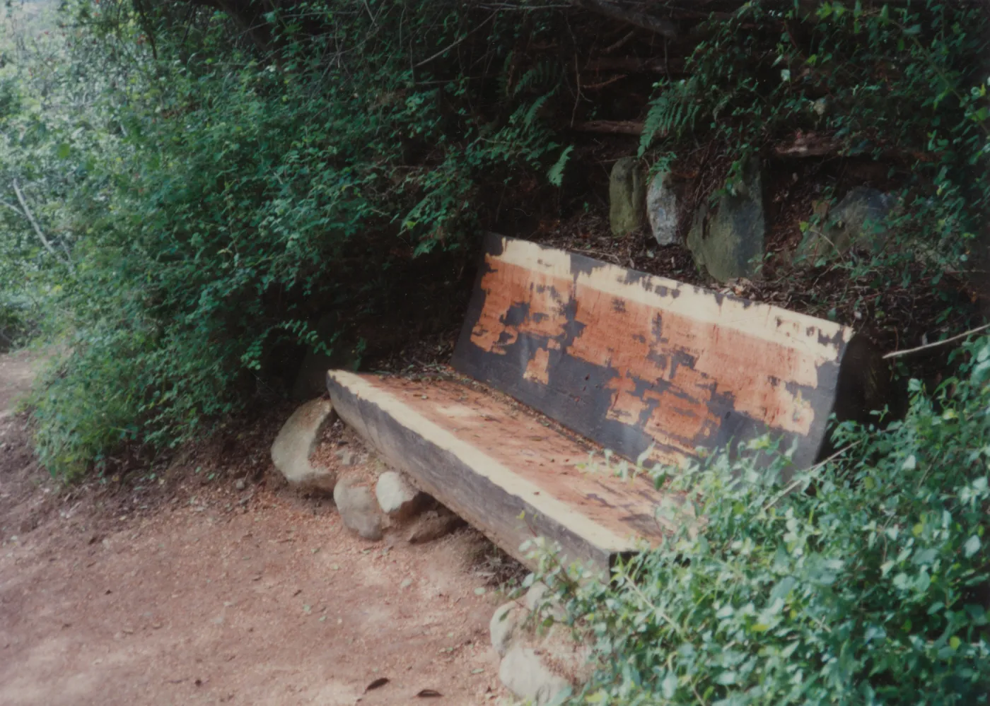 Alvira M. Janeway Bench, 1985, Pritchett Trail