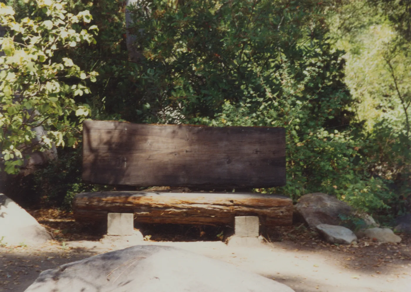 Eunice R. Jones Bench, 1988, Manzanita Section