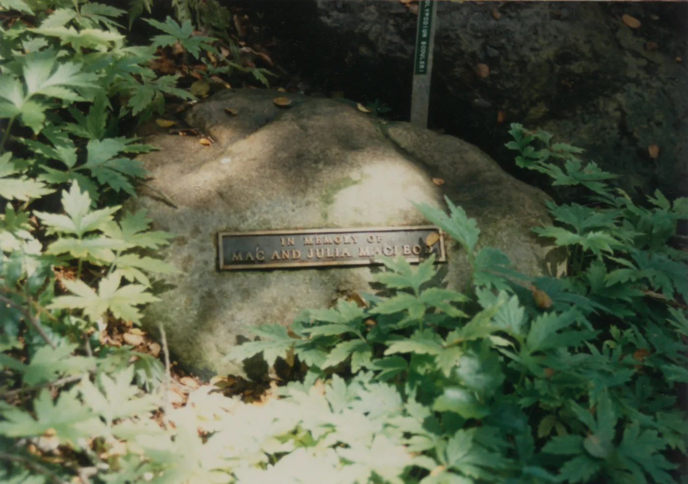 Mac and Julia Macleod, stone water basin with plaque, 1986