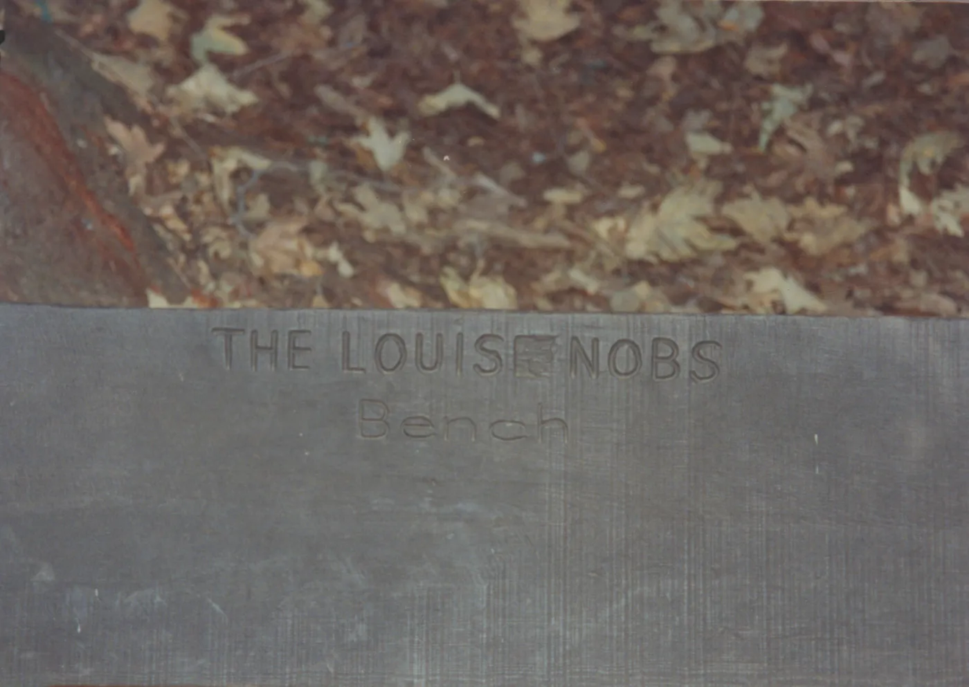 The Louise Nobs Bench, 1972, Redwood Section