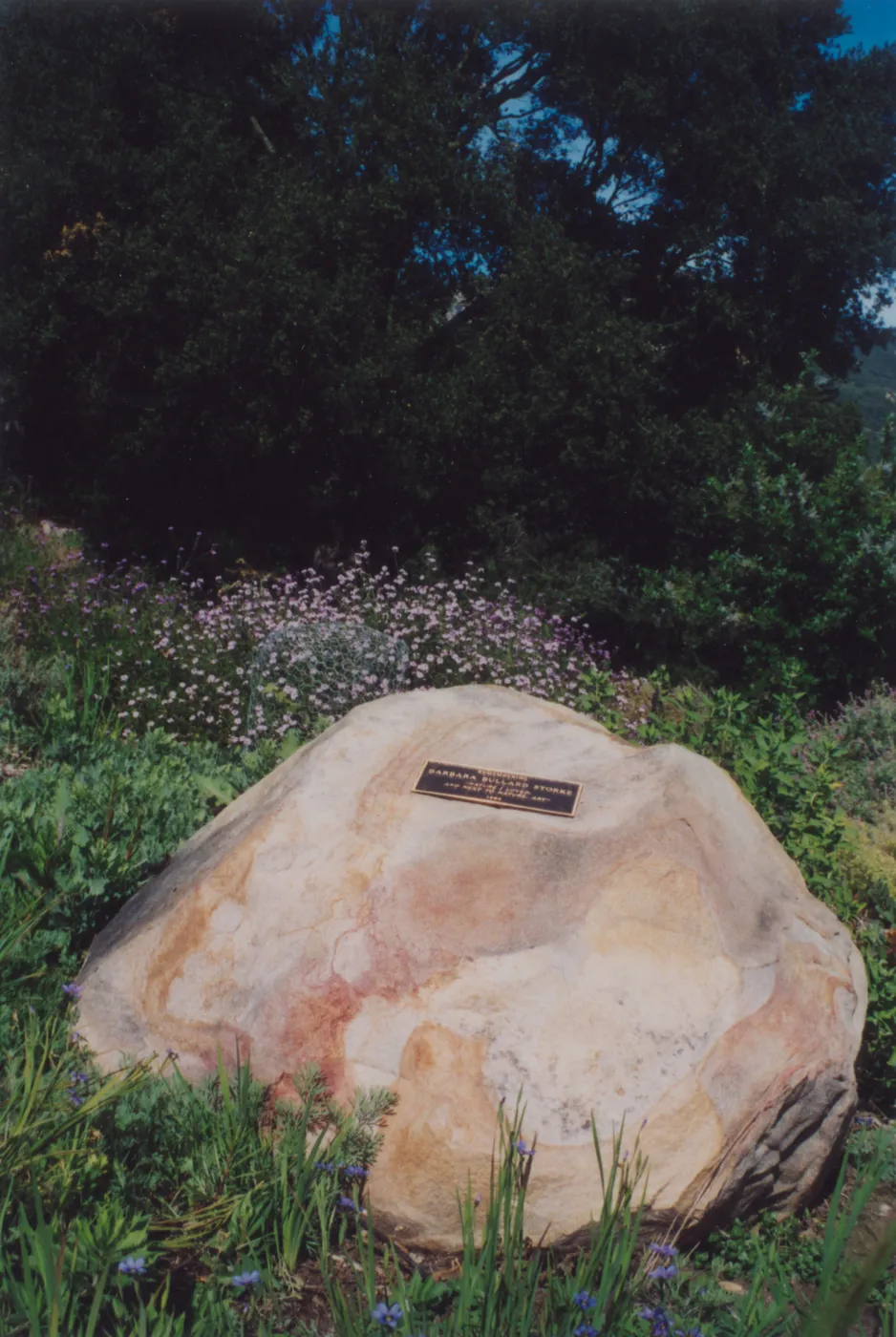 Barbara Bullard Storke Plaque on Boulder, 1984, Porter Trail