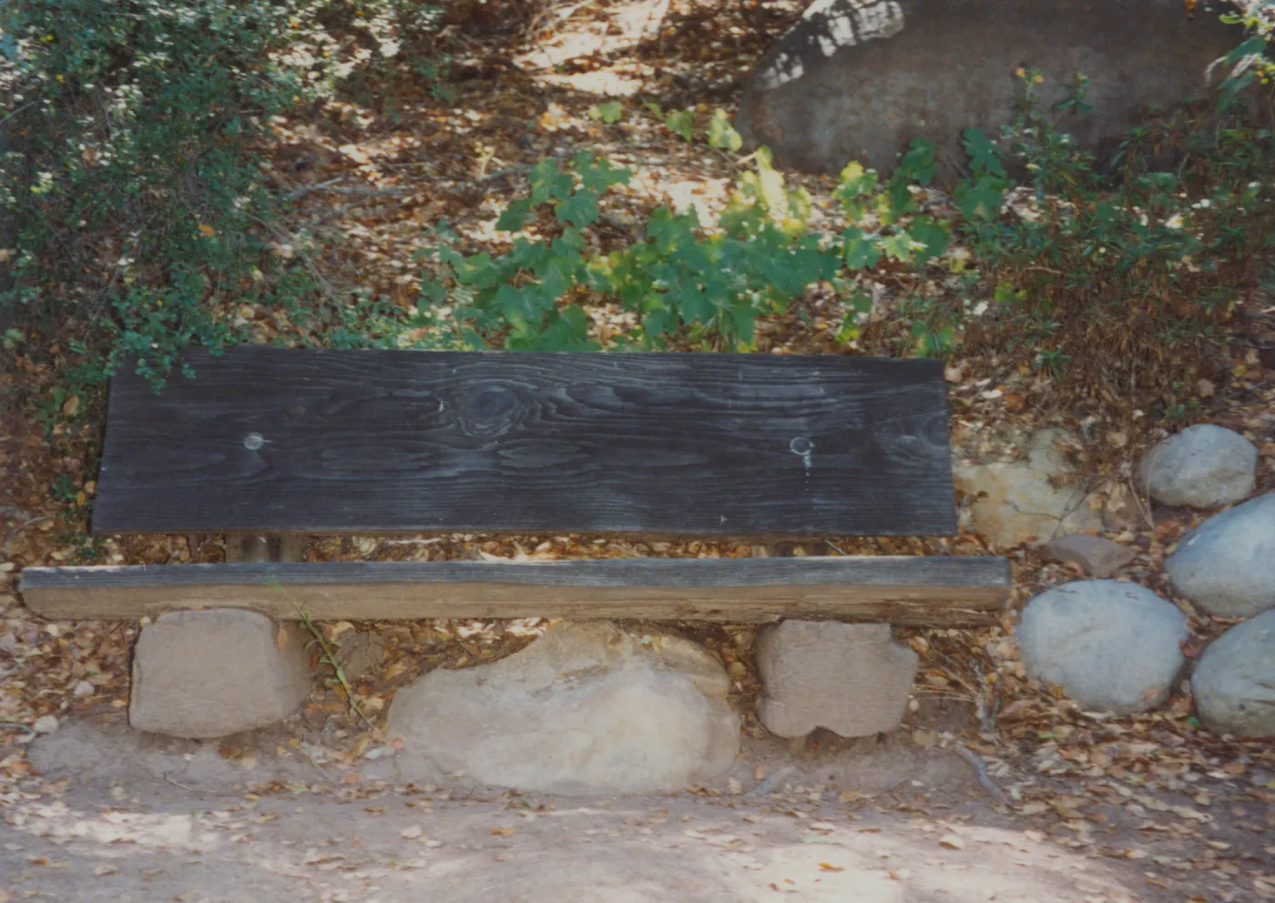 Boris D. Vishanoff Bench, 1980