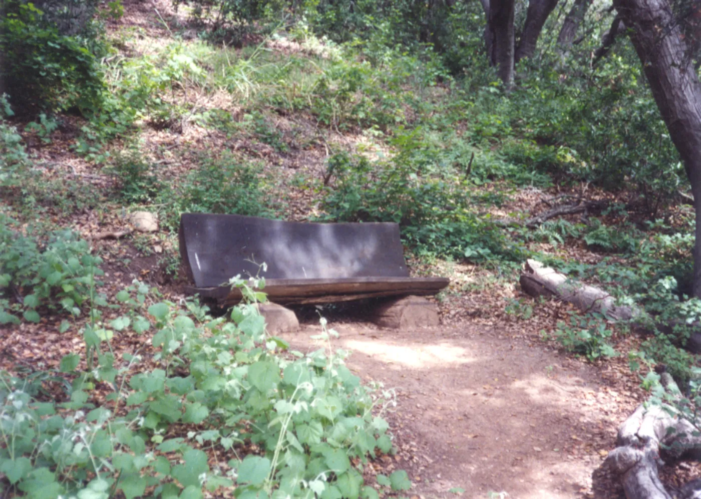 Unnamed wood bench (replaced by Rapp Bench) in Island Section