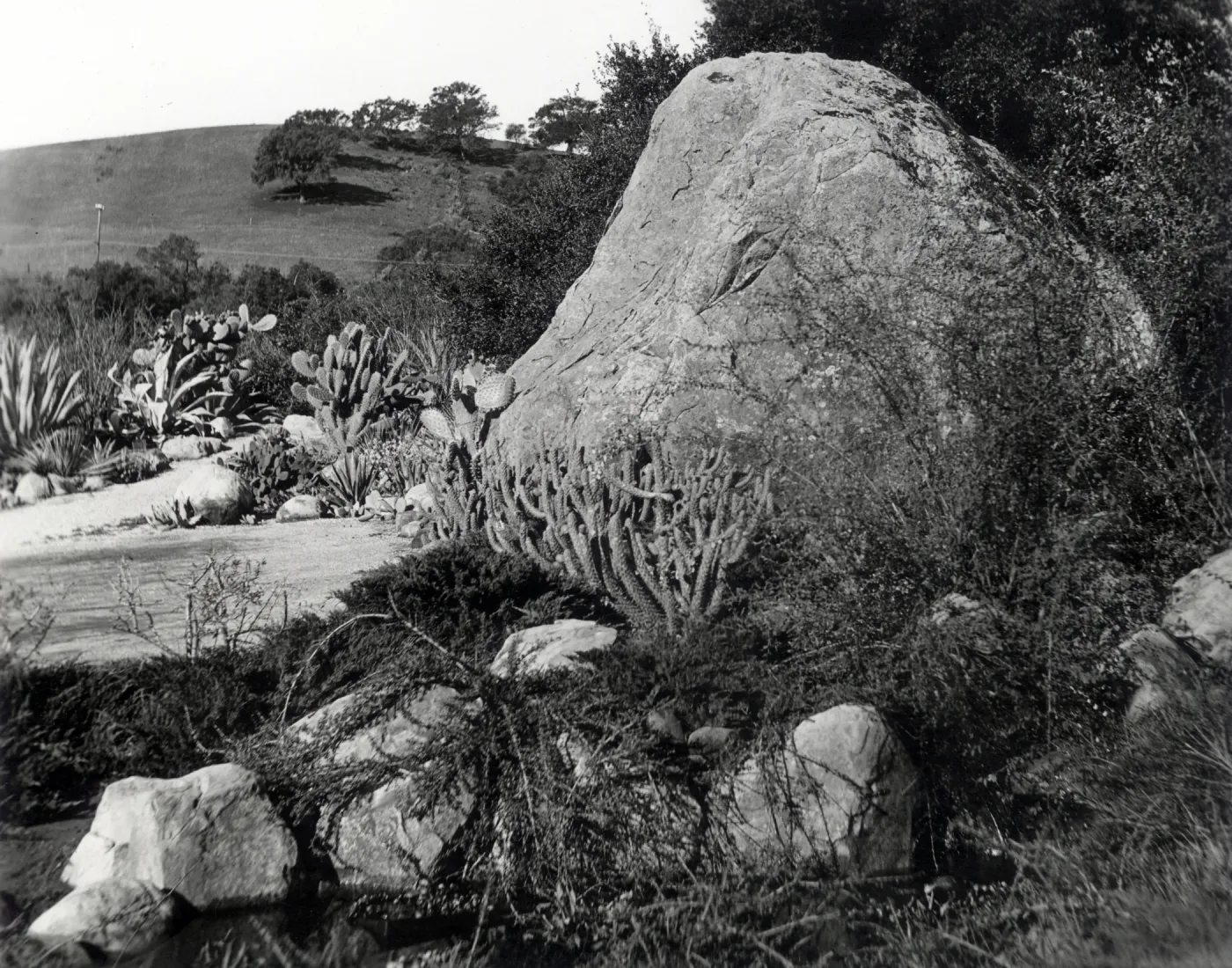 Desert Section and Blaksley Boulder