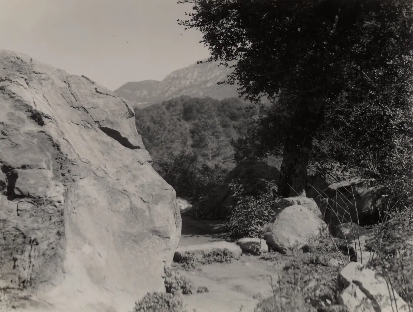SBBG boulder, maybe entrance boulder, mountain view