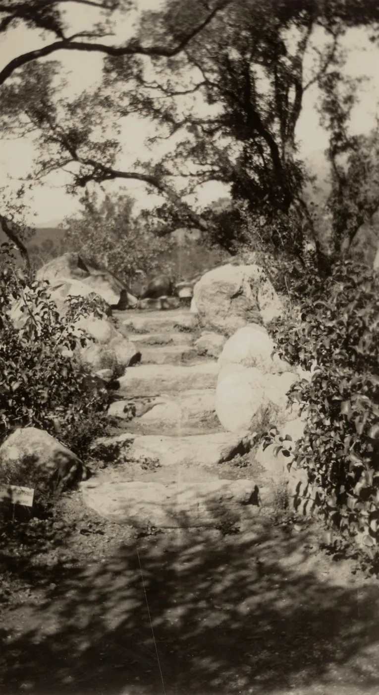 stone steps, Meadow Oaks, SBBG, circa 1933, 1930s
