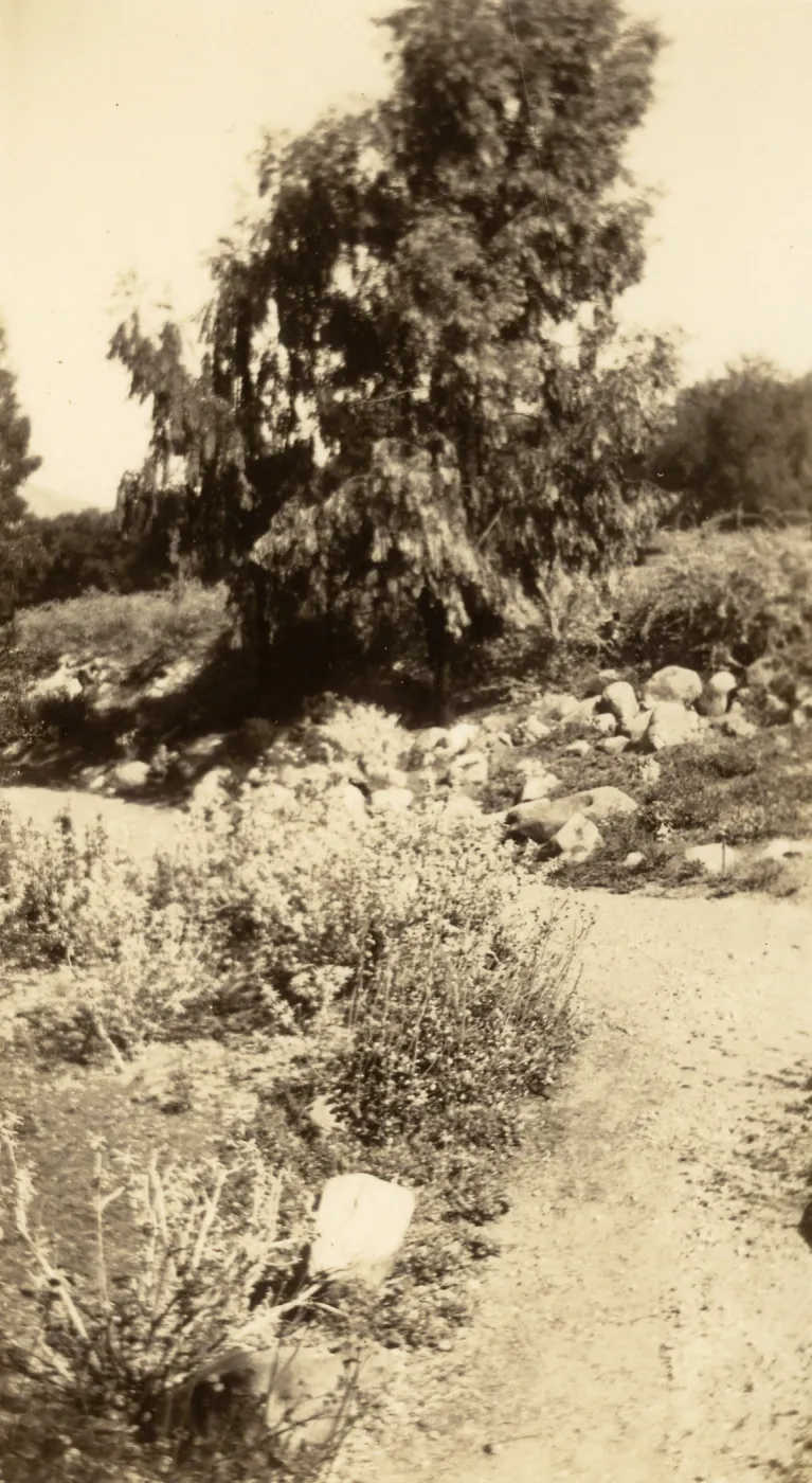 SBBG, circa 1933, 1930s