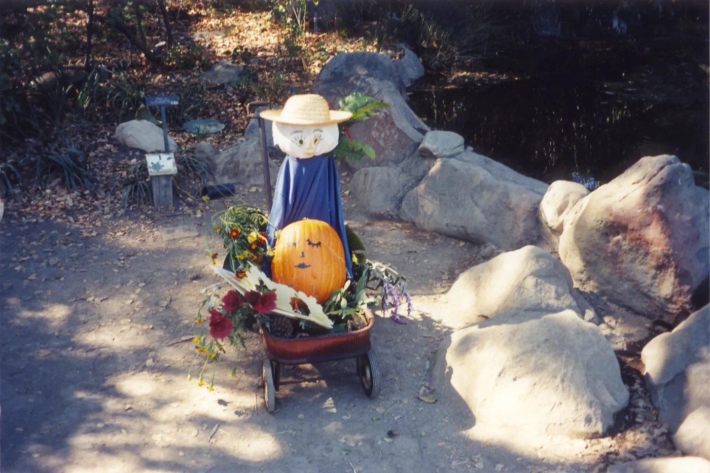 Scarecrow Contest