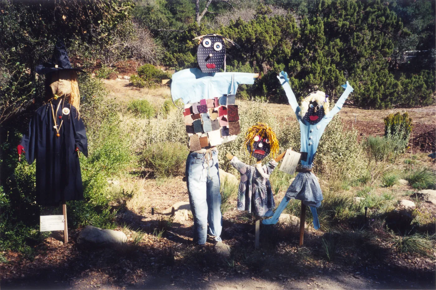 Scarecrow Contest