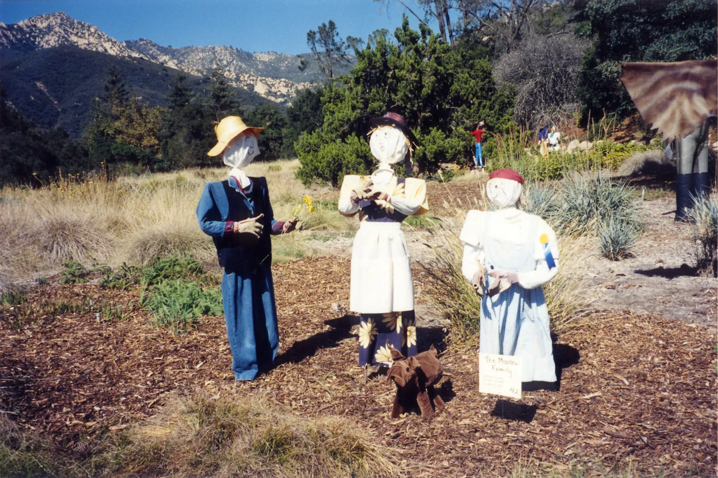 Scarecrow Contest