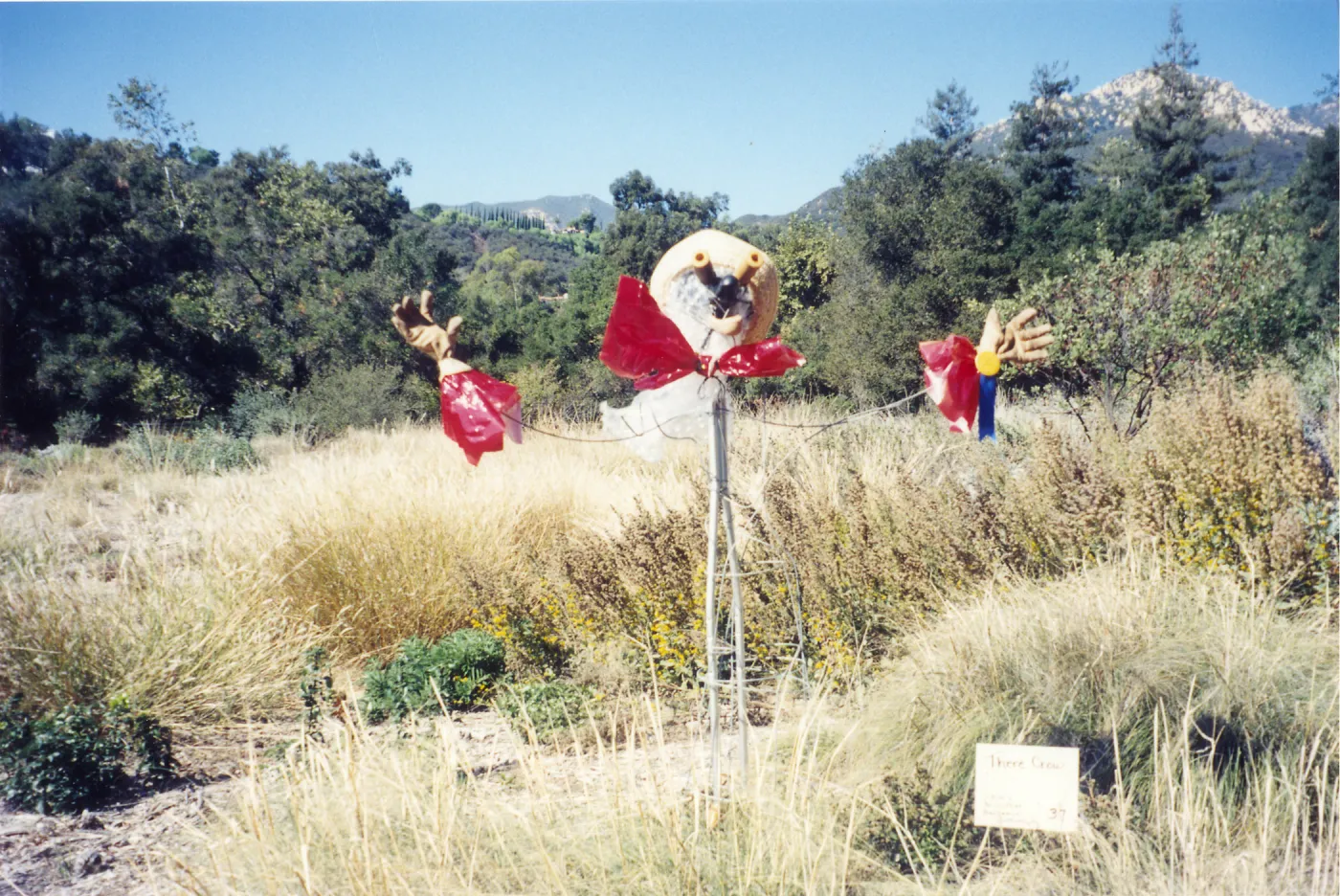 Scarecrow Contest