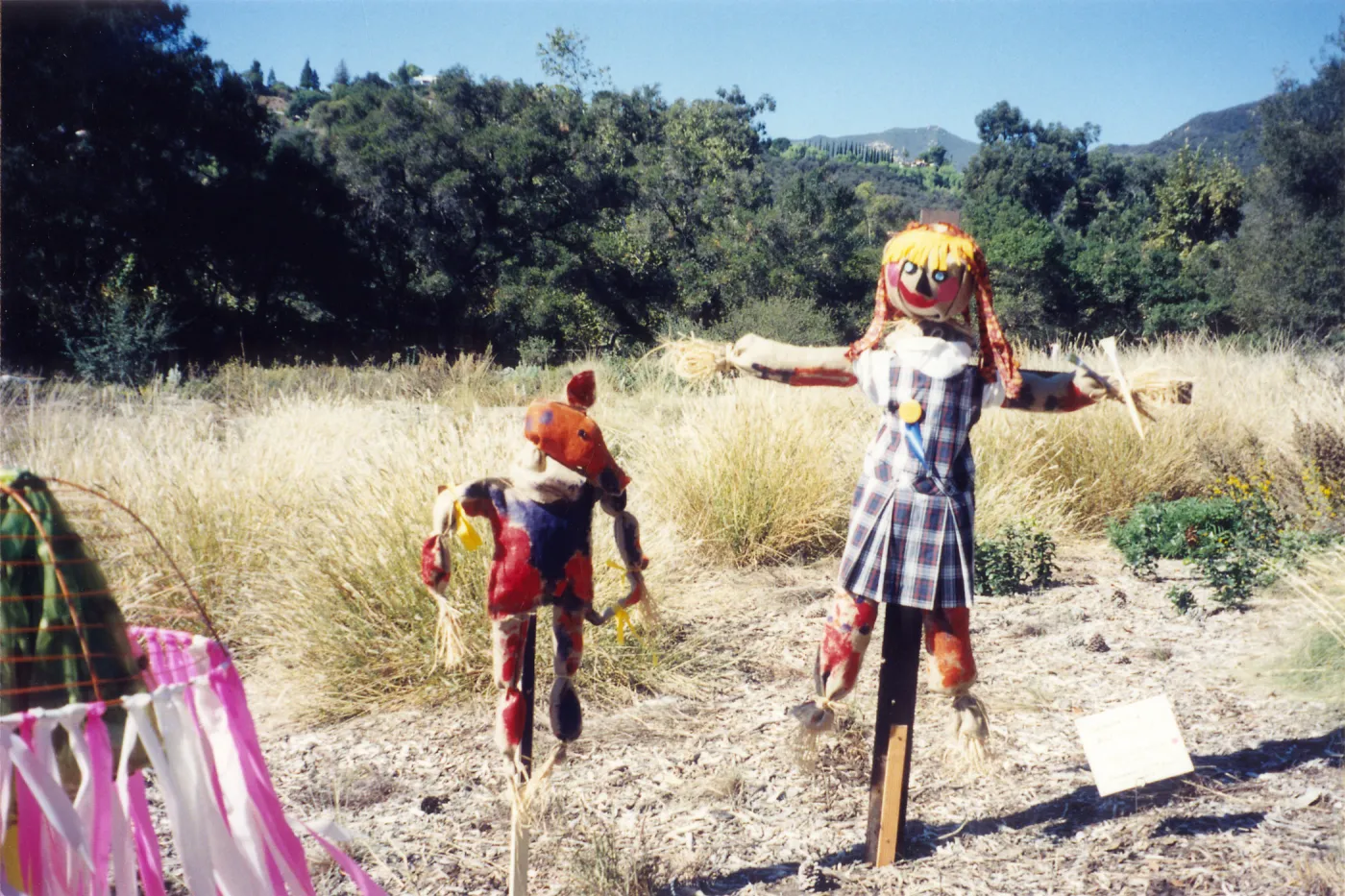 Scarecrow Contest