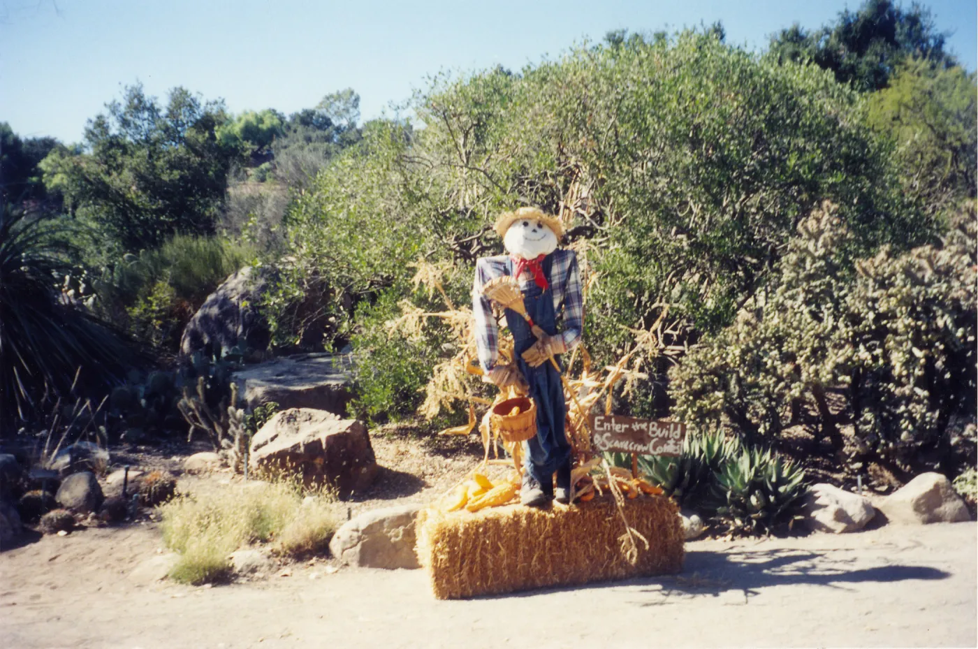 Scarecrow Contest