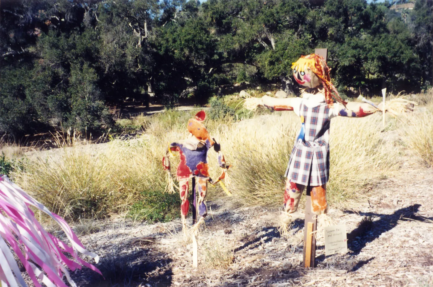 Scarecrow Contest