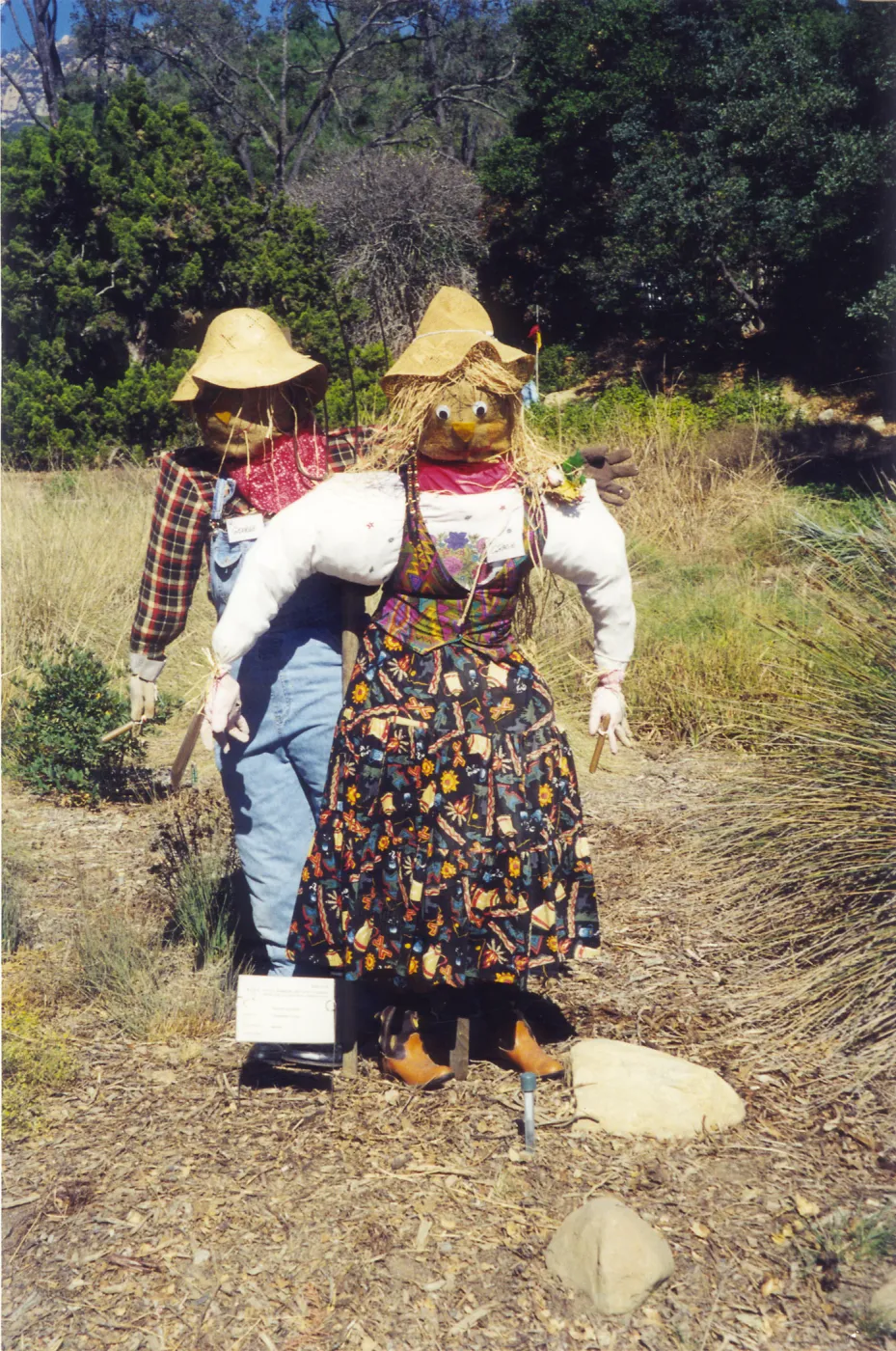 Scarecrow Contest