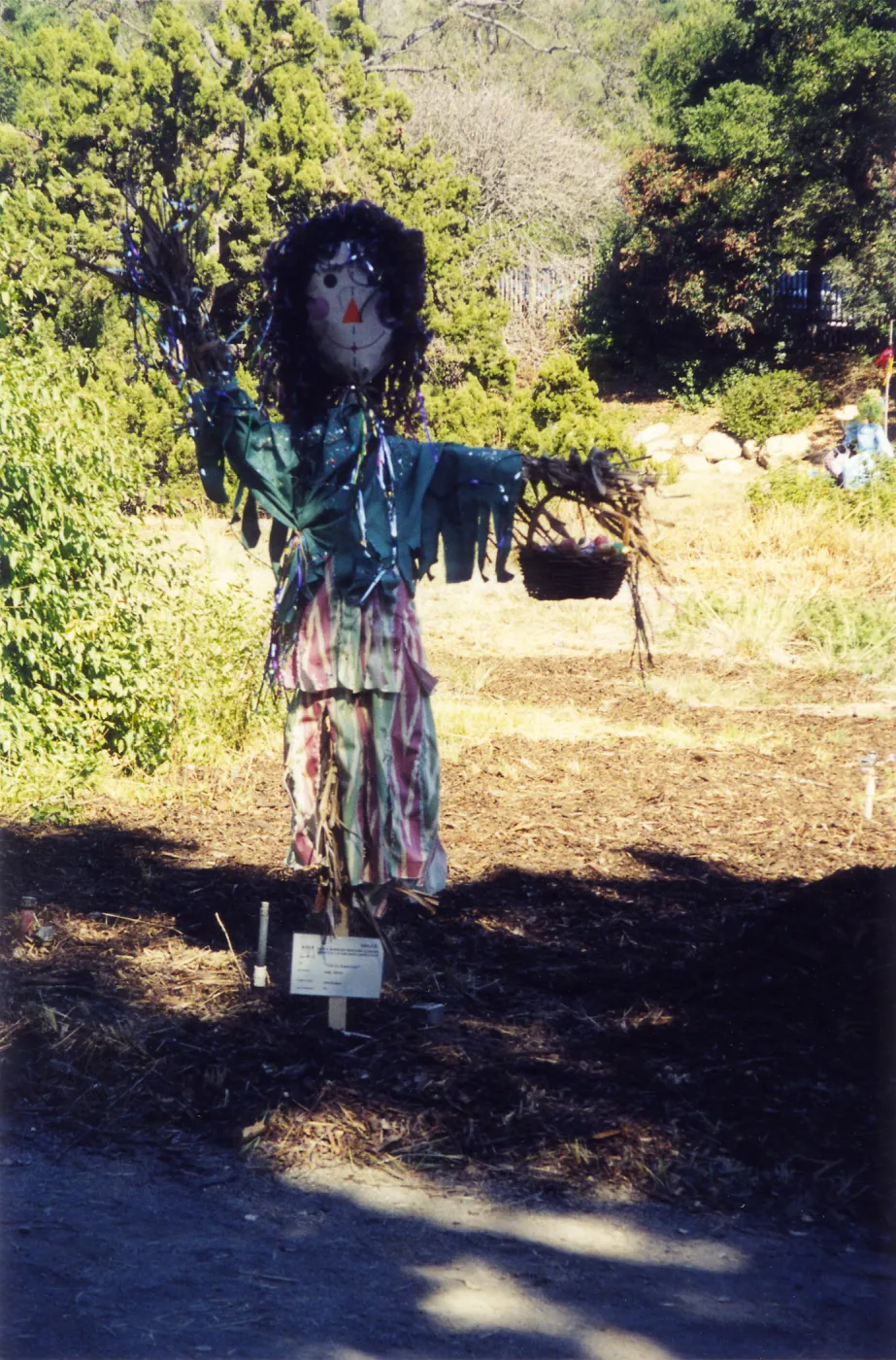 Scarecrow Contest