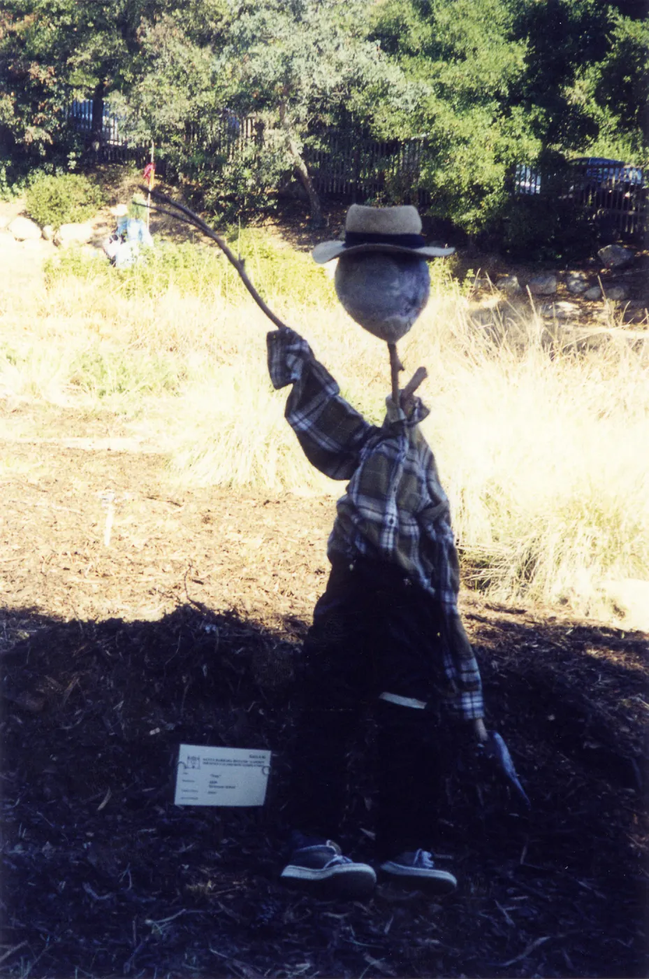 Scarecrow Contest