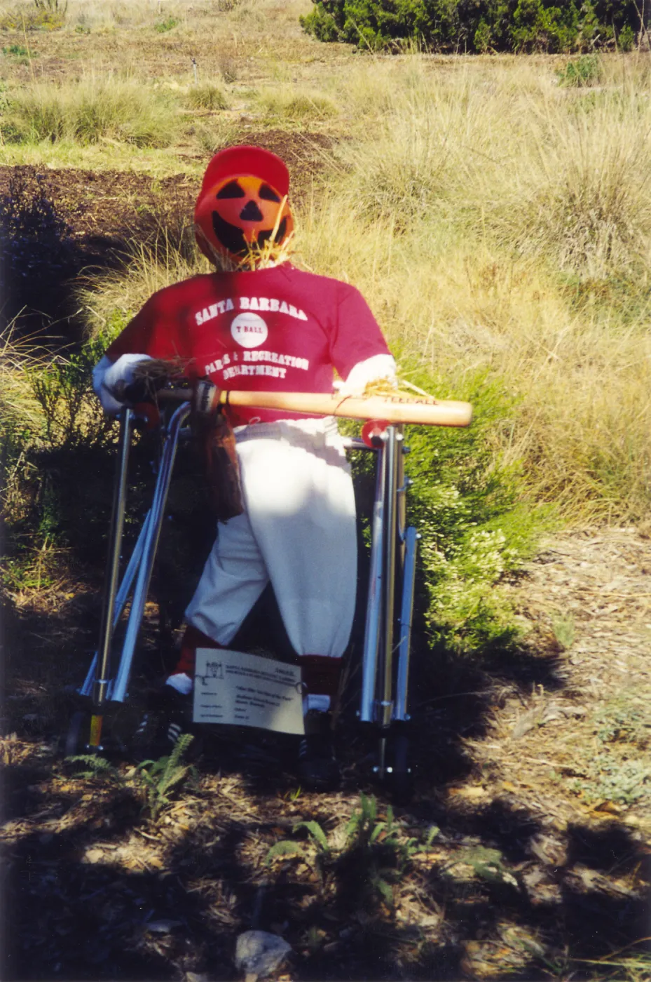Scarecrow Contest