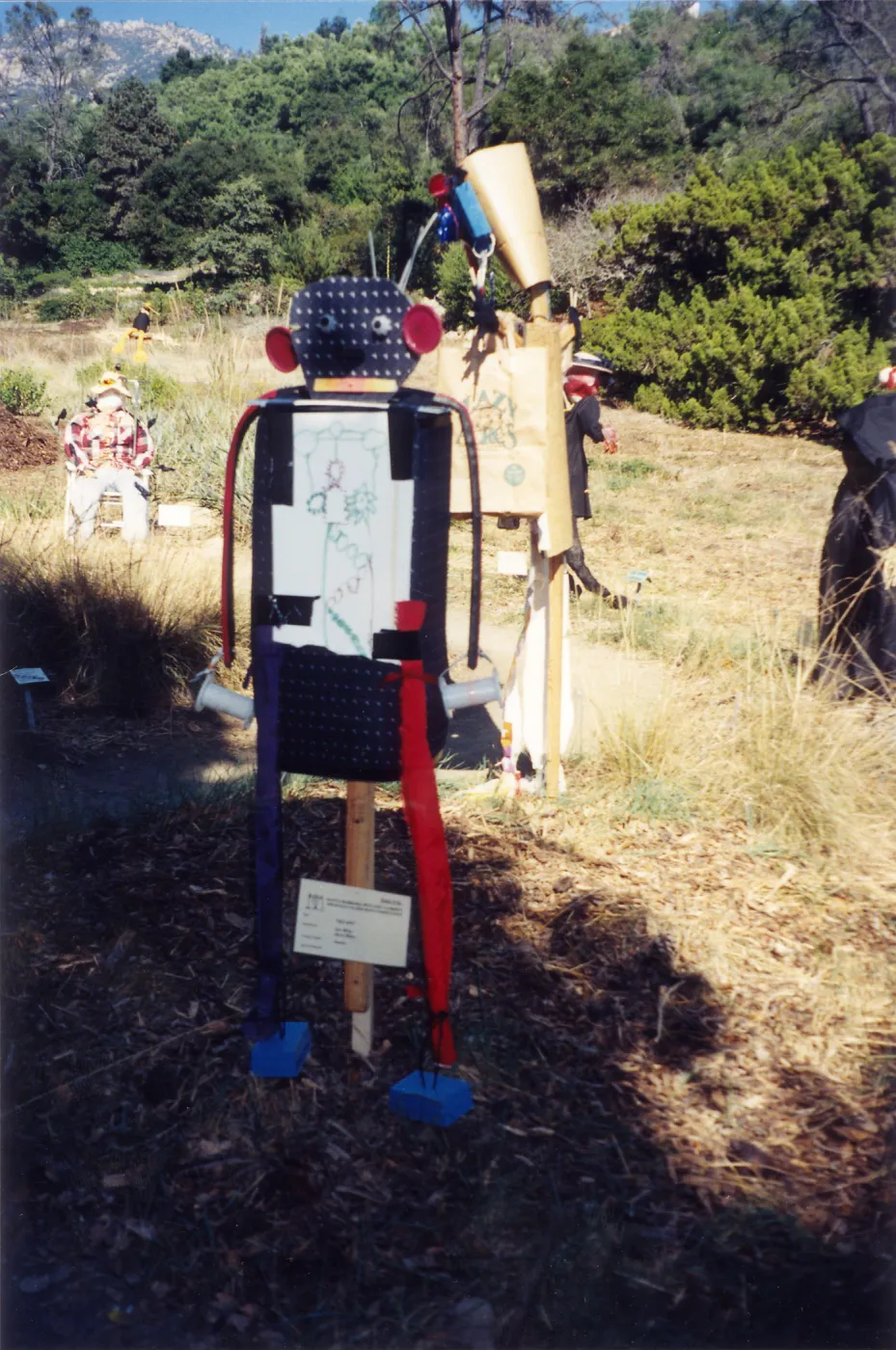 Scarecrow Contest