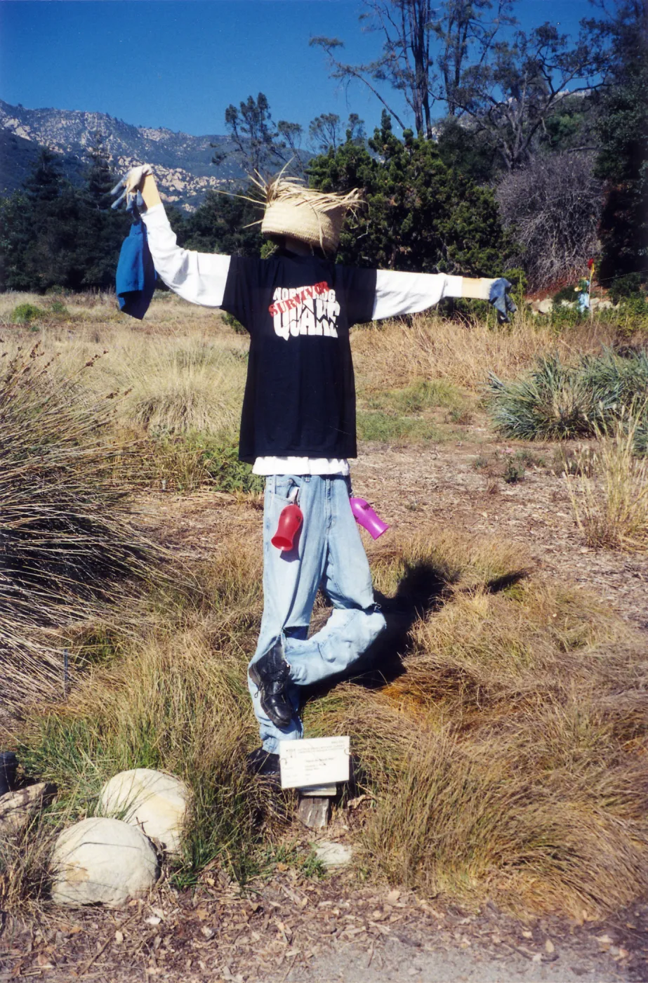 Scarecrow Contest