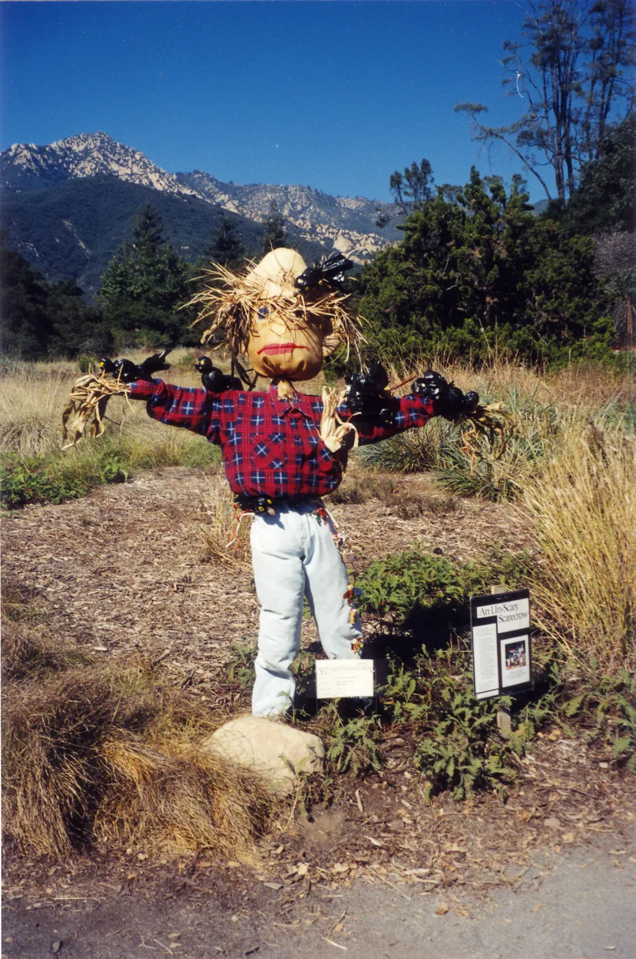 Scarecrow Contest