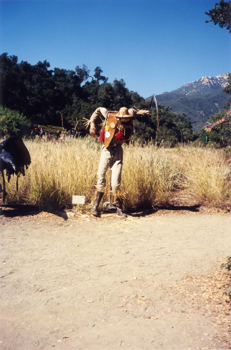 Scarecrow Contest