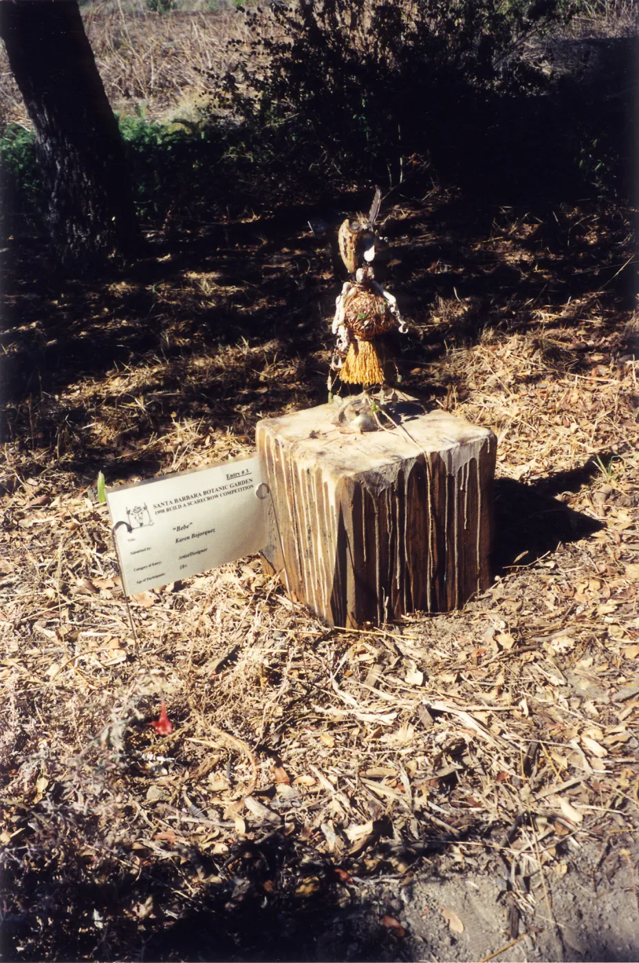 Scarecrow Contest