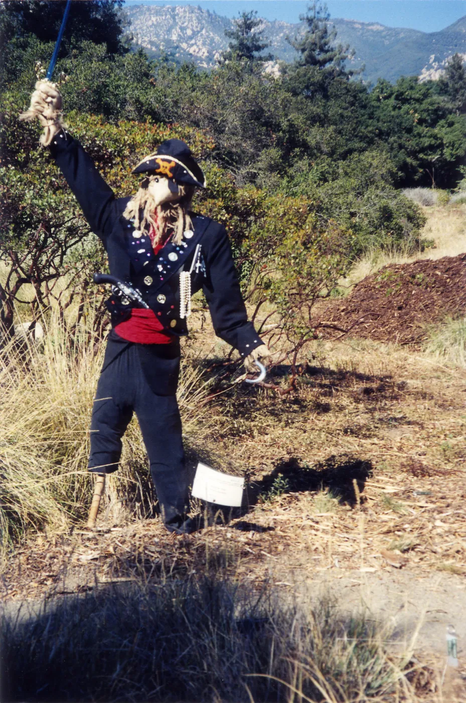 Scarecrow Contest