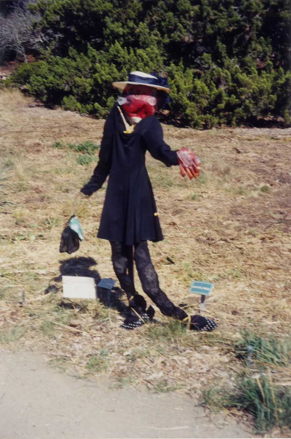 Scarecrow Contest