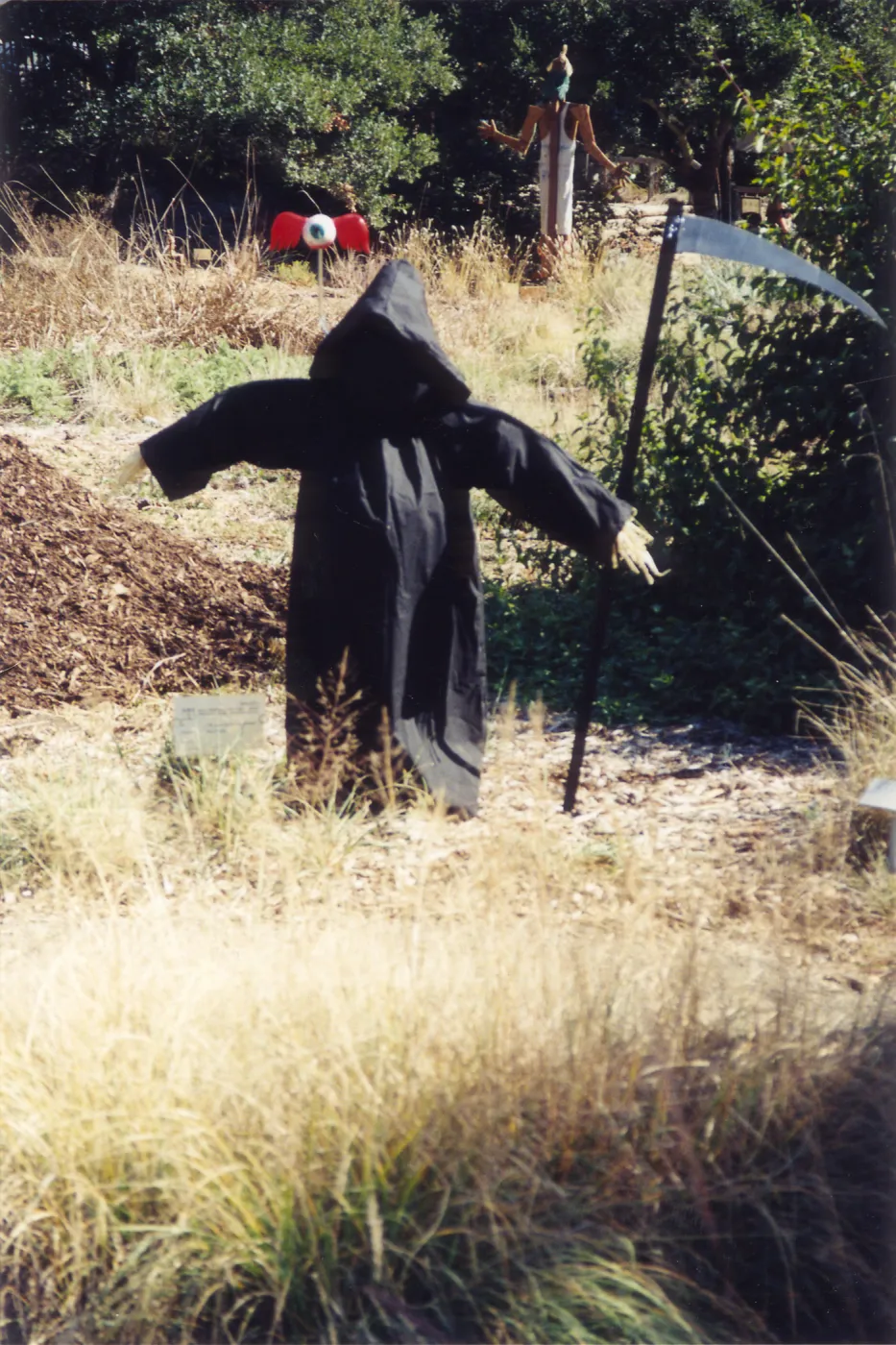 Scarecrow Contest