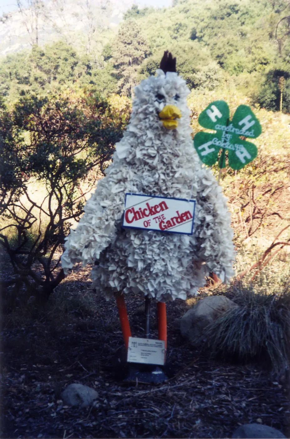 Scarecrow Contest