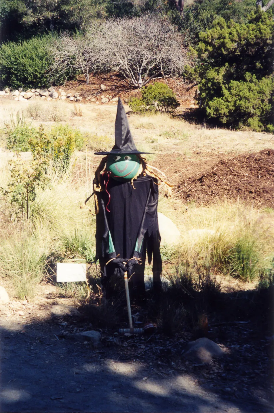 Scarecrow Contest
