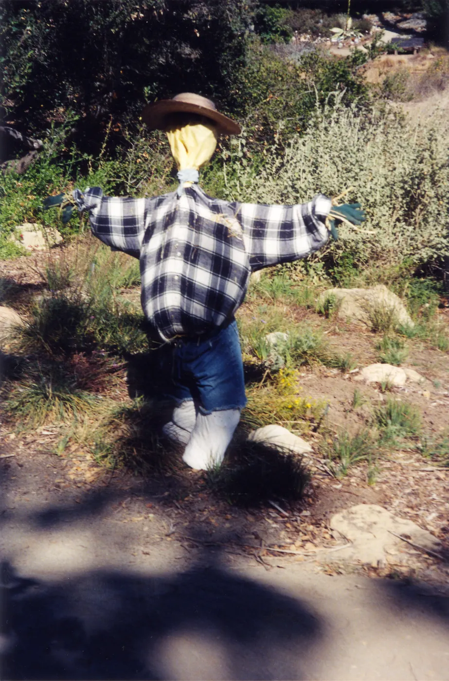 Scarecrow Contest