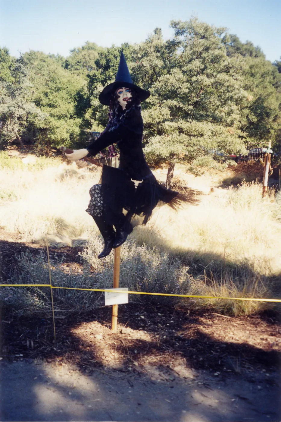 Scarecrow Contest