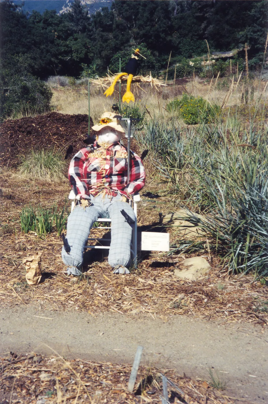 Scarecrow Contest