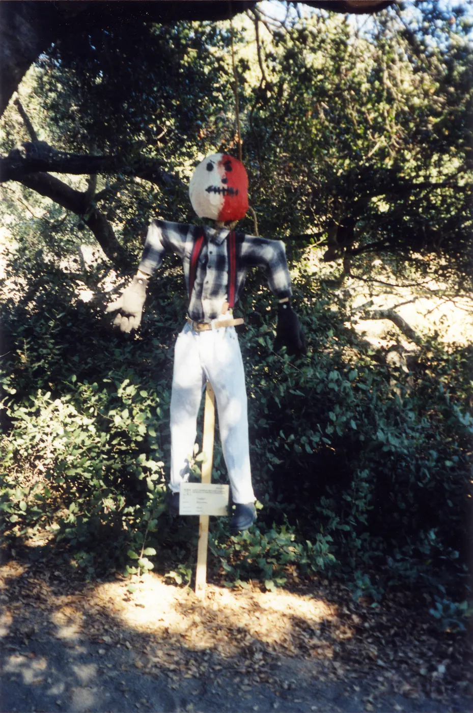 Scarecrow Contest