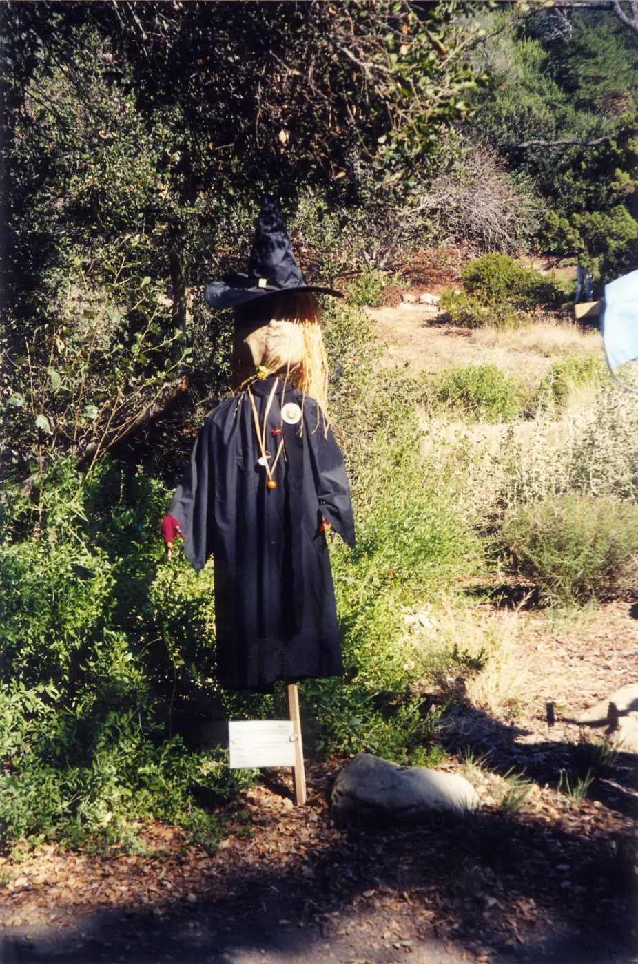 Scarecrow Contest