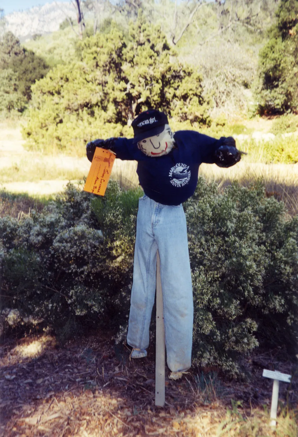 Scarecrow Contest