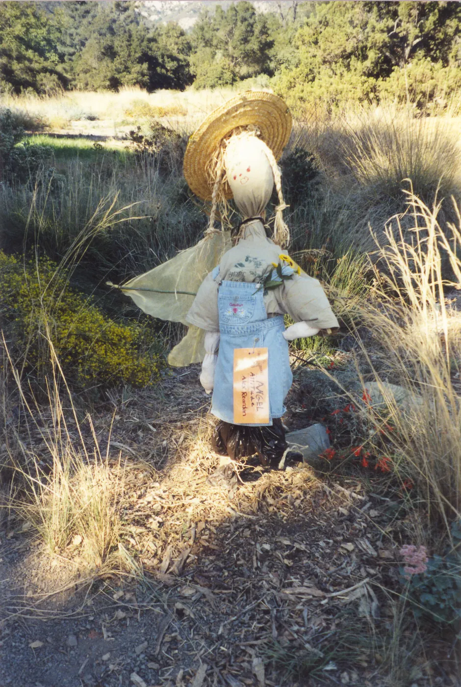Scarecrow Contest