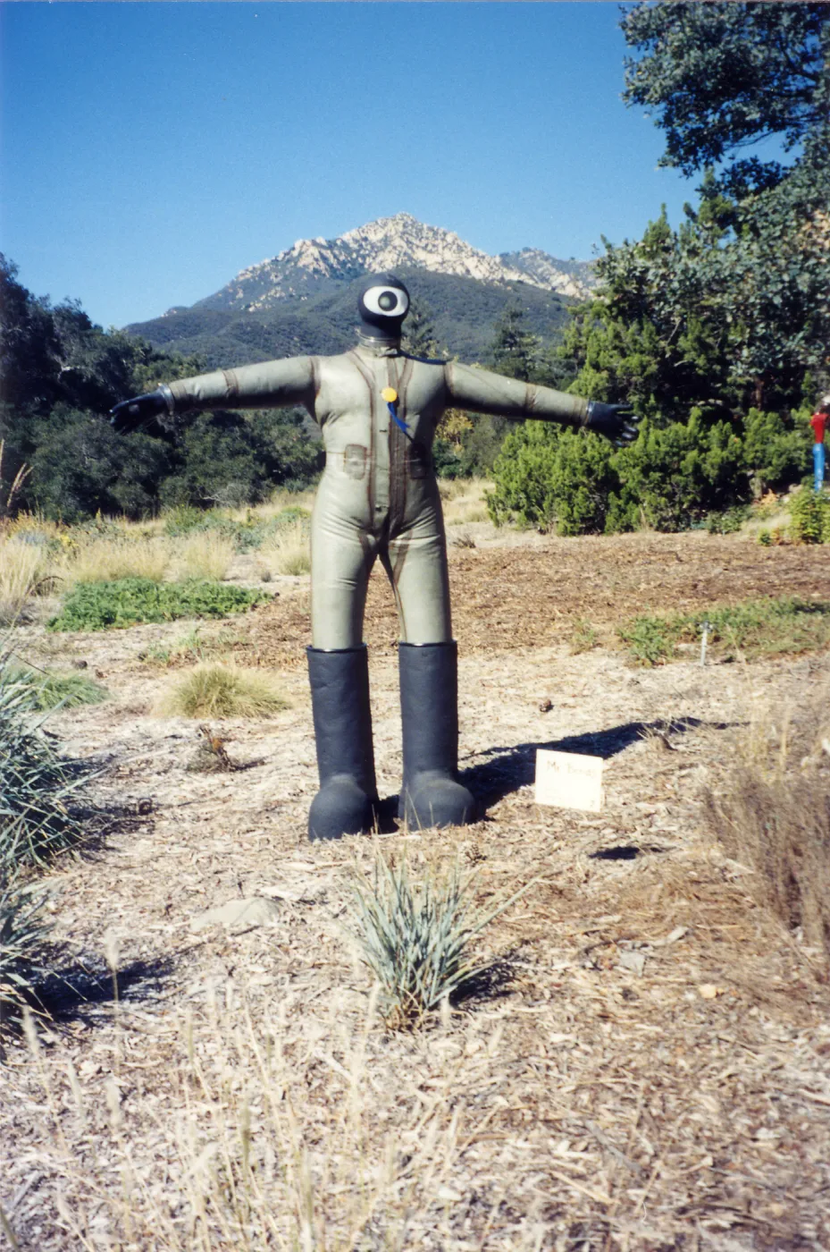 Scarecrow Contest