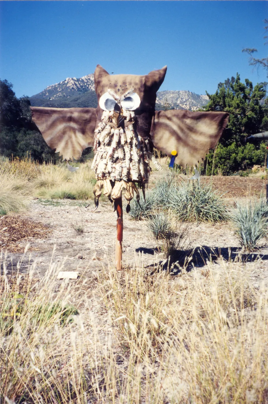 Scarecrow Contest