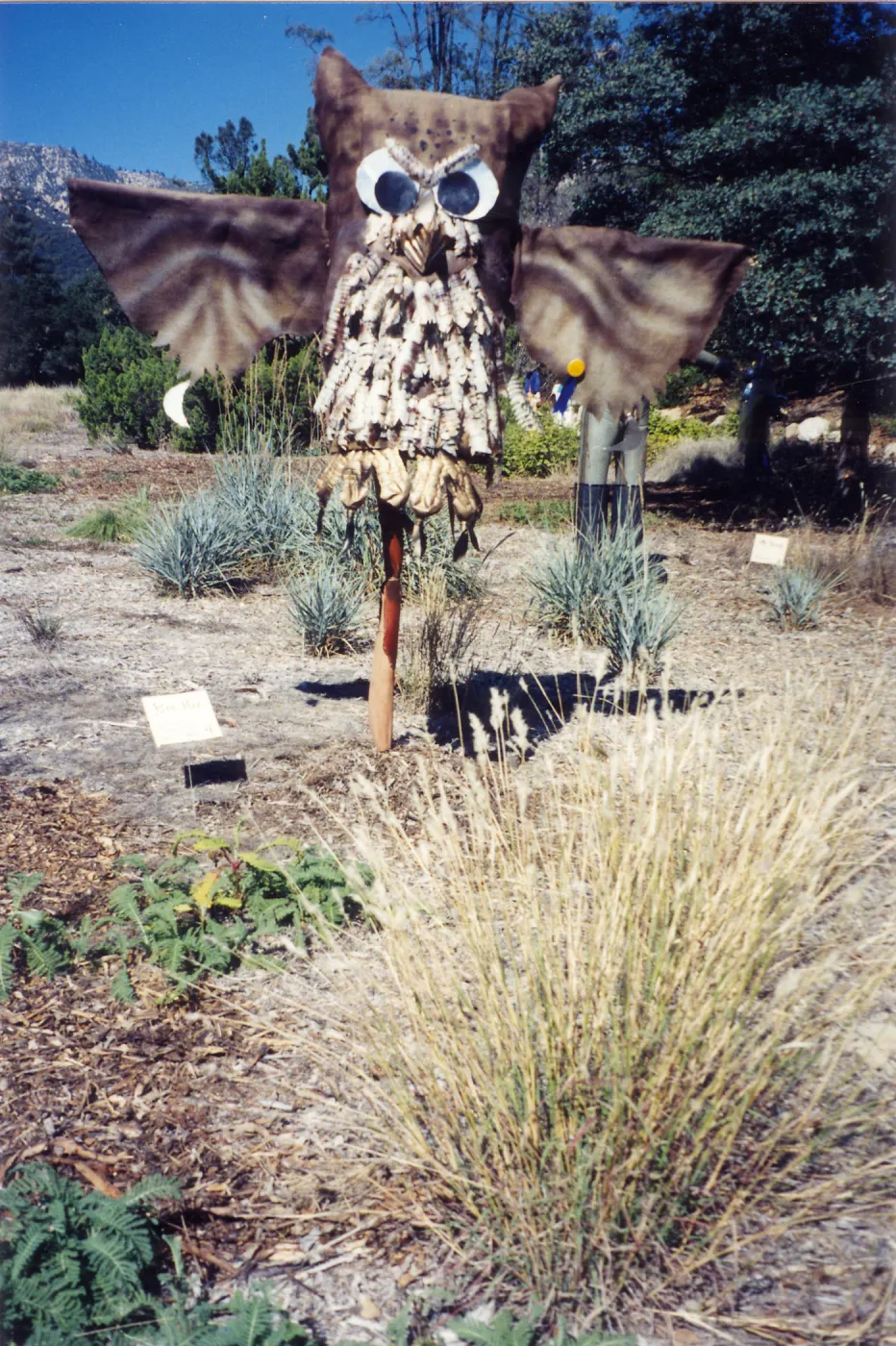 Scarecrow Contest